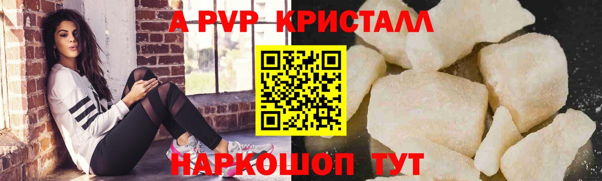 A PVP СК Горно-Алтайск